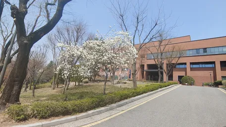 Общежитие Университета Сеула - Фото №2