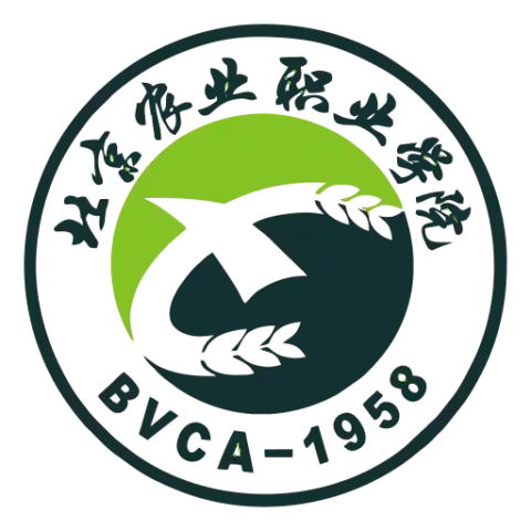 Поступление в Пекинский профессиональный колледж Нон Е (BVCA)