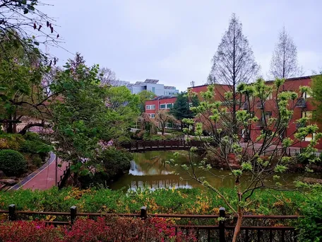 Общежитие Университета Сеула - Фото №3