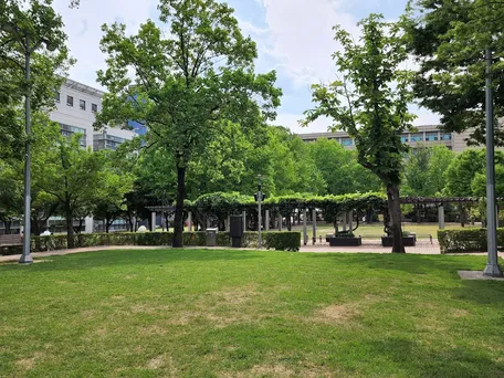 Общежитие Университета Сеула - Фото №7
